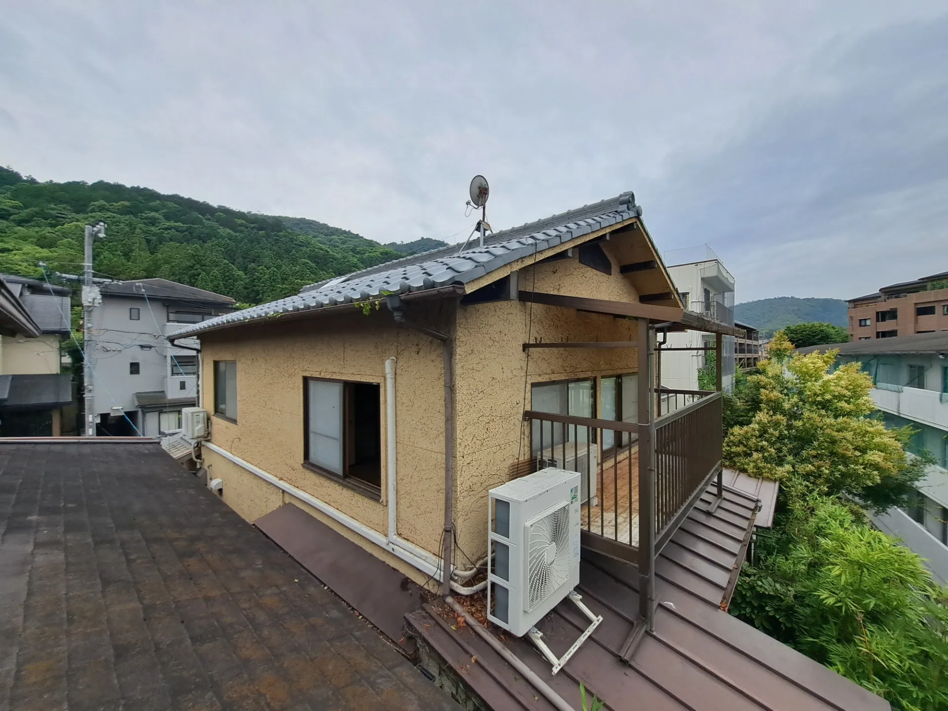 空き家に絡む蔓の除去