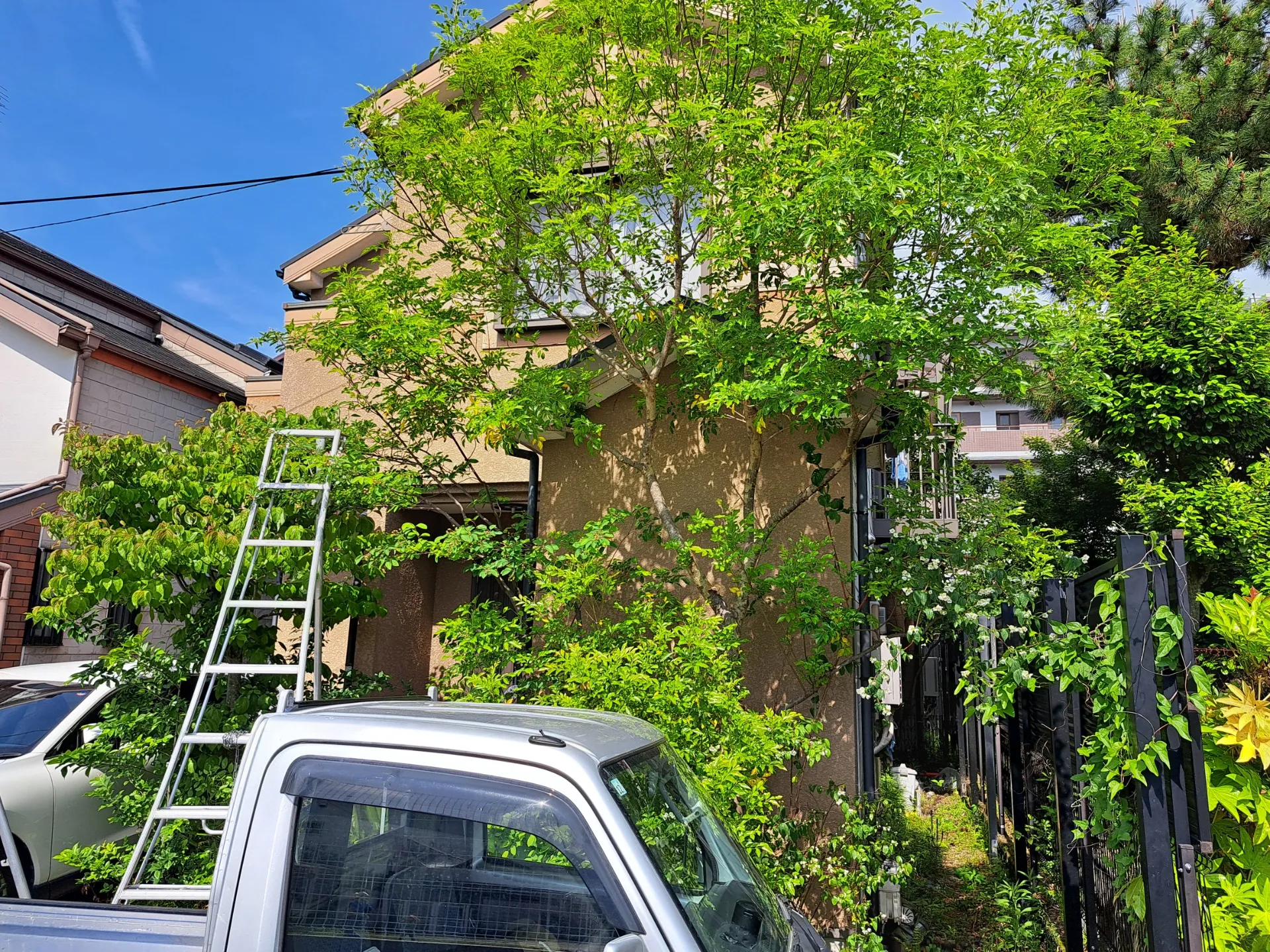 左京区修学院