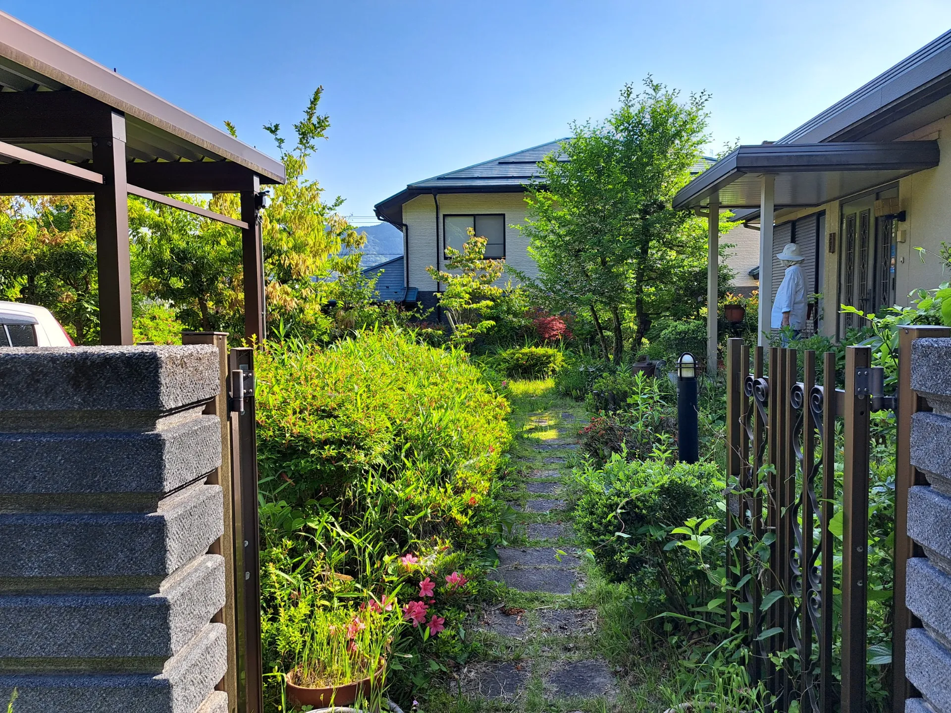 空き家の剪定除草